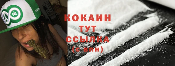 ГАЛЛЮЦИНОГЕННЫЕ ГРИБЫ Алзамай