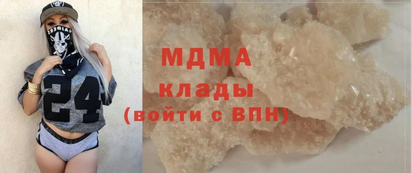 хмурый Алексин