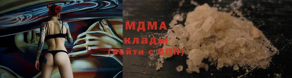 хмурый Алексин