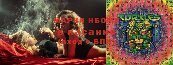 ГАЛЛЮЦИНОГЕННЫЕ ГРИБЫ Алзамай