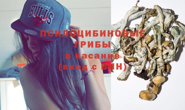 ГАЛЛЮЦИНОГЕННЫЕ ГРИБЫ Алзамай