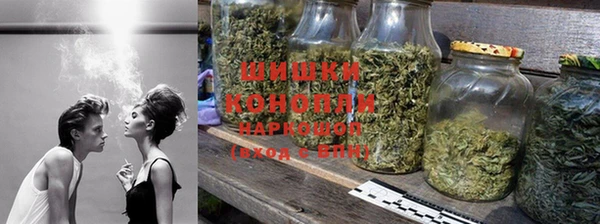 ГАЛЛЮЦИНОГЕННЫЕ ГРИБЫ Алзамай