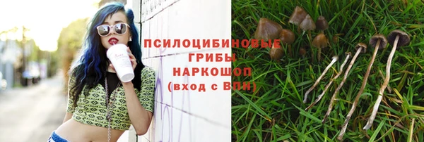 ГАЛЛЮЦИНОГЕННЫЕ ГРИБЫ Алзамай