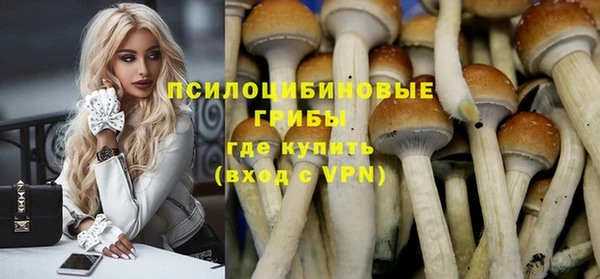 ГАЛЛЮЦИНОГЕННЫЕ ГРИБЫ Алзамай