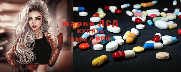 хмурый Алексин