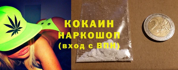 хмурый Алексин